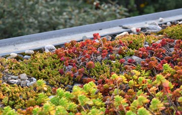 the cost of Redmile green roof installation