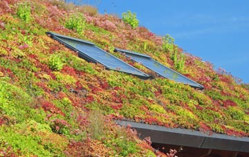 Redmile living roof systems